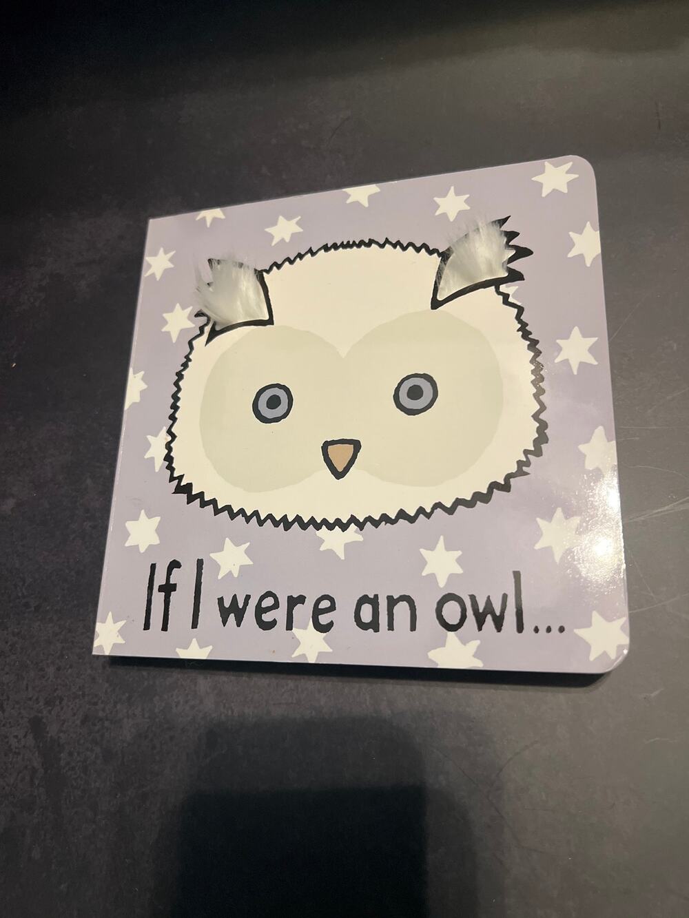 “If I Were an Owl” Tactile Board Book